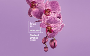 Pantone Radiant Orchid