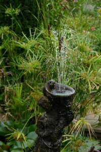 Water feature in tranquil garden