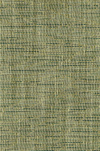 Pompass Grass Indigo