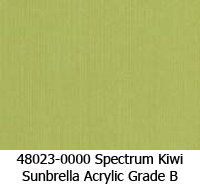 Spectrum Kiwi