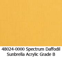 Spectrum Daffodil