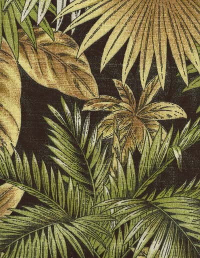 Bahamian Breeze Coal