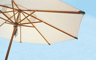Umbrella